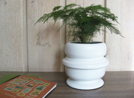 Paige Russell + Fossil Planter