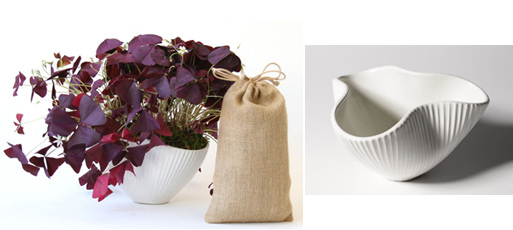 Ceramic Pinch Bowl, Blooming Bulb Set