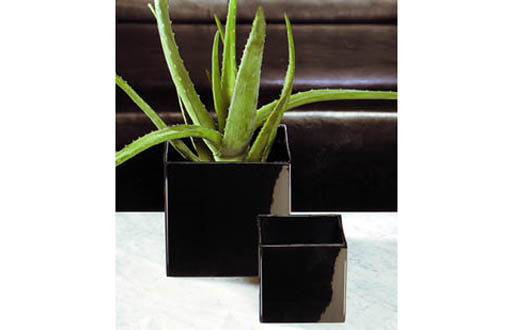 Black Ceramic Planters