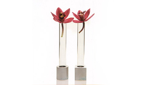 Test Tube Vases