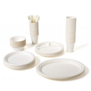 Biodegradable Plates, Cups + Utensils