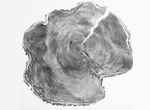Tree Prints by Bryan Nash Gill