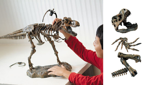 Discovery 3-Foot Ultimate T-Rex Skeleton