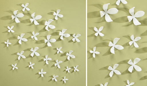 Wall Flowers