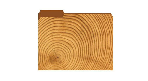 Filex Wood Spiral Folder